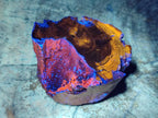 Polished On One Side Dadoxylon Petrified Wood Tree Branches x 6 From Gokwe, Zimbabwe - Toprock Gemstones and Minerals 
