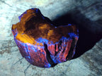Polished On One Side Dadoxylon Petrified Wood Tree Branches x 6 From Gokwe, Zimbabwe - Toprock Gemstones and Minerals 