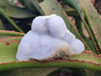 Natural Blue Lace Agate Geodes with Dog Tooth Calcite x 12 From Nsanje, Malawi - Toprock Gemstones and Minerals 