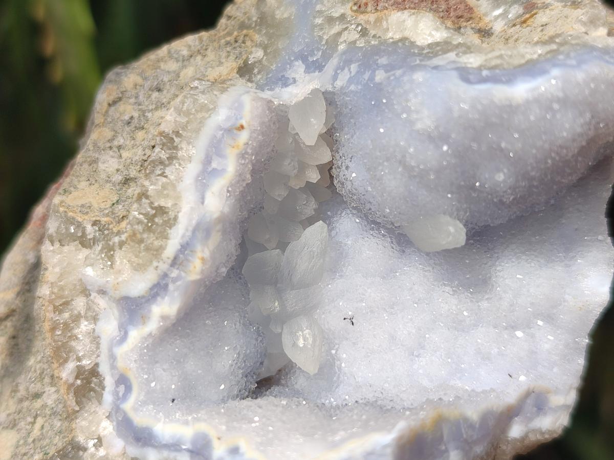 Natural Blue Lace Agate Geodes with Dog Tooth Calcite x 12 From Nsanje, Malawi - Toprock Gemstones and Minerals 