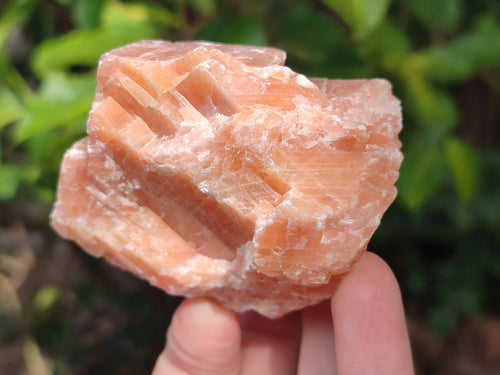 Natural Rhombohedral Sunset Orange Calcite Specimens x 12 From Spitzkop, Namibia - Toprock Gemstones and Minerals 