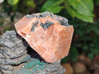 Natural Rhombohedral Sunset Orange Calcite Specimens x 12 From Spitzkop, Namibia - Toprock Gemstones and Minerals 