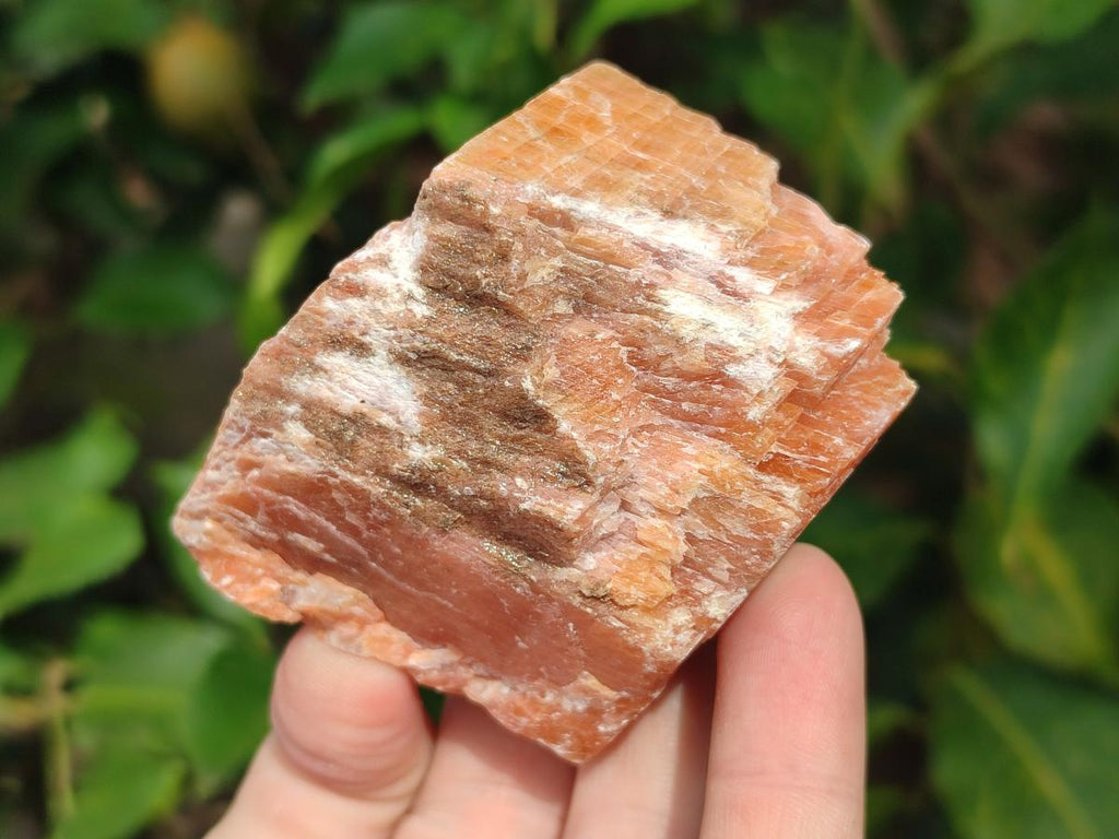 Natural Rhombohedral Sunset Orange Calcite Specimens x 12 From Spitzkop, Namibia - Toprock Gemstones and Minerals 