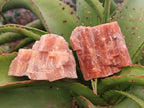 Natural Rhombohedral Sunset Orange Calcite Specimens x 12 From Spitzkop, Namibia - Toprock Gemstones and Minerals 