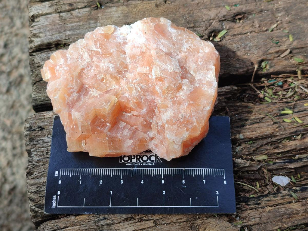 Natural Rhombohedral Sunset Orange Calcite Specimens x 12 From Spitzkop, Namibia - Toprock Gemstones and Minerals 