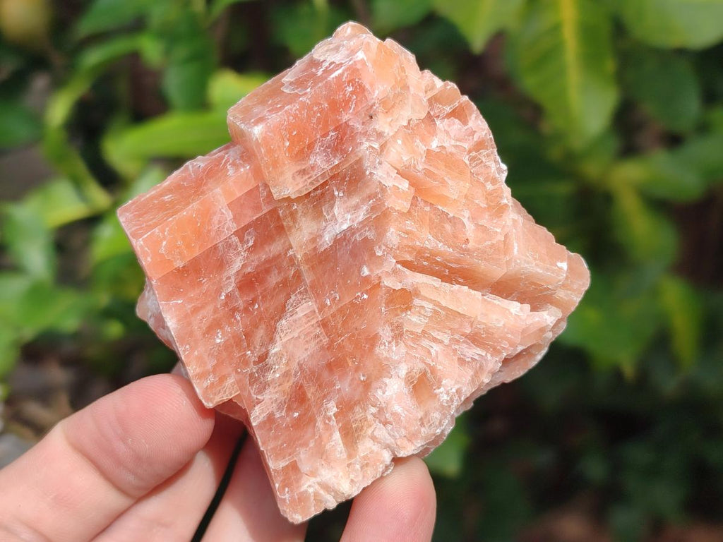 Natural Rhombohedral Sunset Orange Calcite Specimens x 12 From Spitzkop, Namibia - Toprock Gemstones and Minerals 
