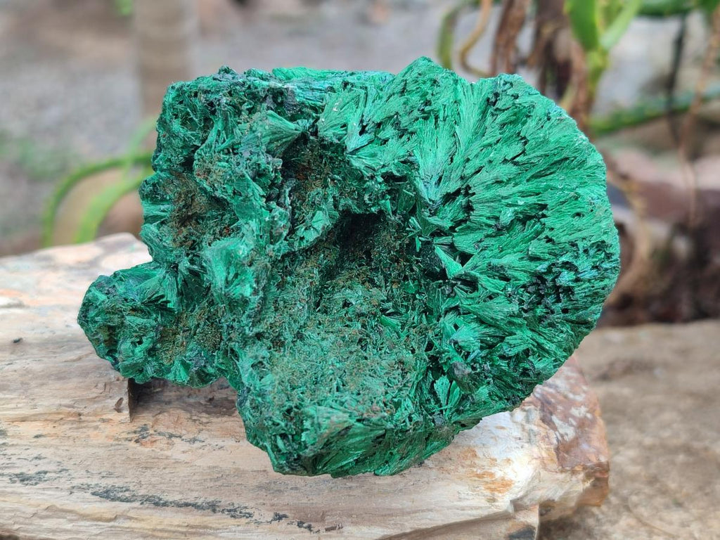 Natural Silky Malachite Specimens x 6 From Kasompe, Congo - Toprock Gemstones and Minerals 