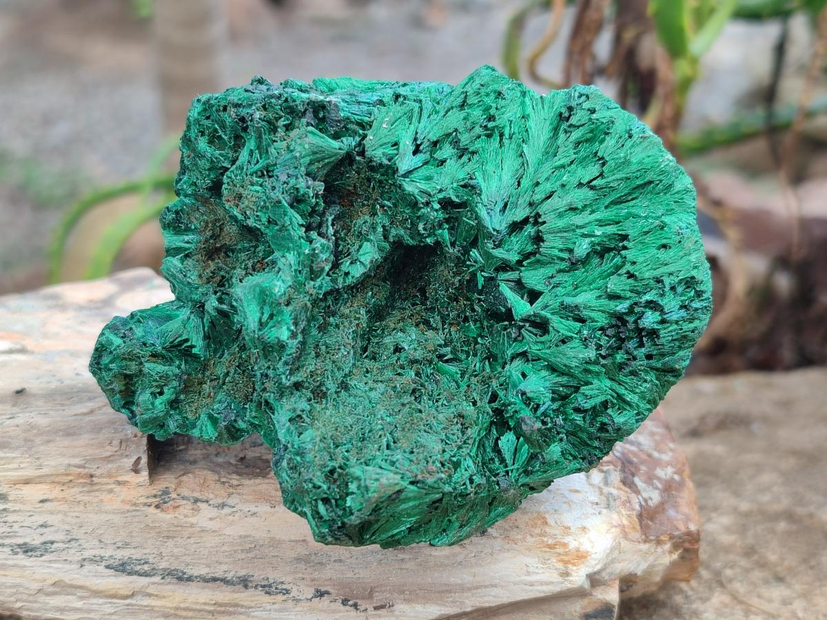 Natural Silky Malachite Specimens x 6 From Kasompe, Congo - Toprock Gemstones and Minerals 