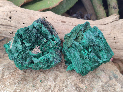 Natural Silky Malachite Specimens x 6 From Kasompe, Congo - Toprock Gemstones and Minerals 