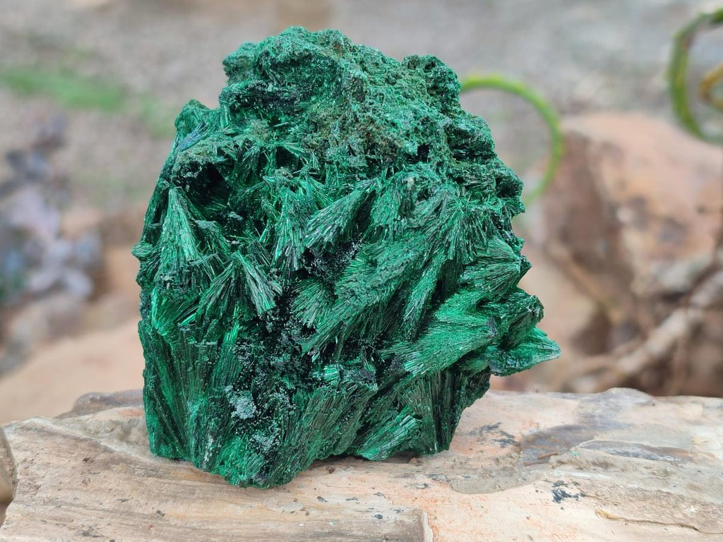 Natural Silky Malachite Specimens x 6 From Kasompe, Congo - Toprock Gemstones and Minerals 