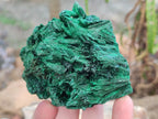 Natural Silky Malachite Specimens x 6 From Kasompe, Congo - Toprock Gemstones and Minerals 