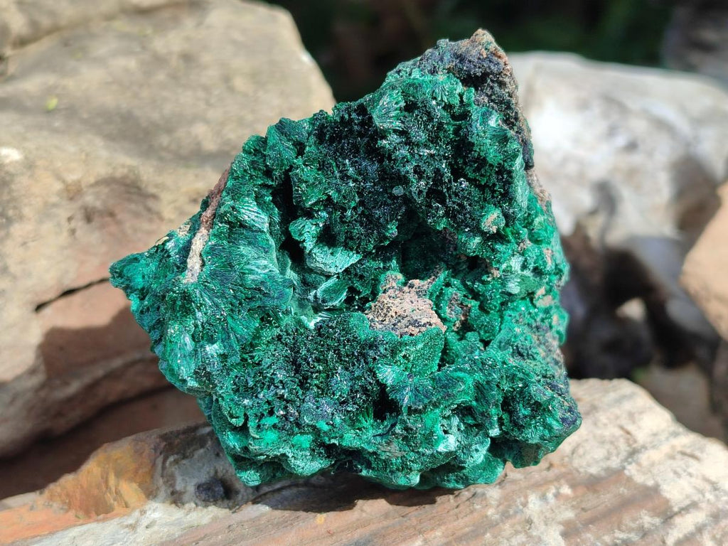 Natural Silky Malachite Specimens x 6 From Kasompe, Congo - Toprock Gemstones and Minerals 