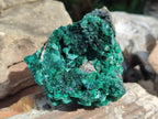 Natural Silky Malachite Specimens x 6 From Kasompe, Congo - Toprock Gemstones and Minerals 