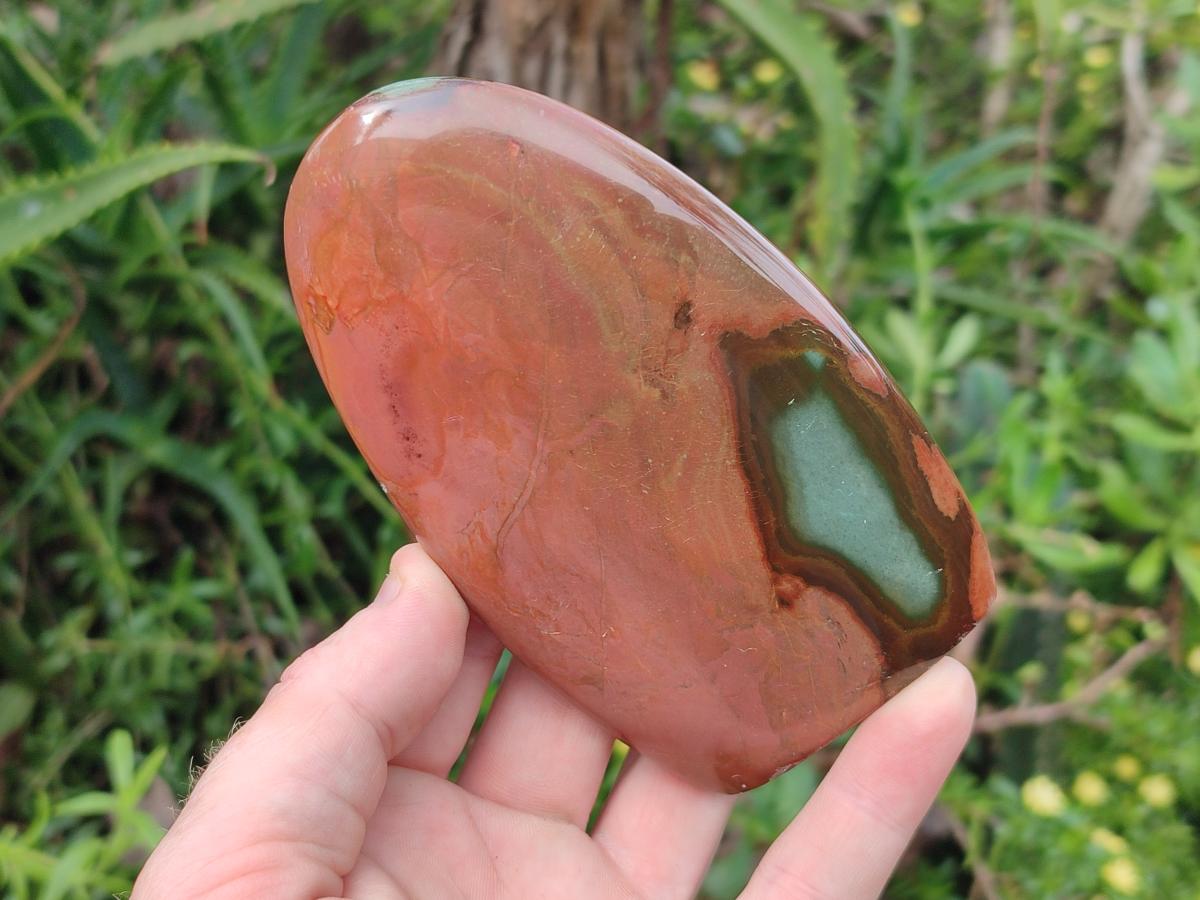 Polished Polychrome Jasper Standing Display Pieces x 6 From NW Coast, Madagascar - Toprock Gemstones and Minerals 