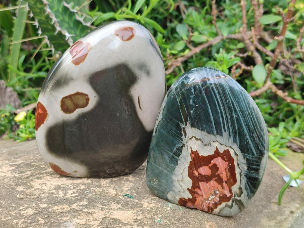 Polished Polychrome Jasper Standing Display Pieces x 6 From NW Coast, Madagascar - Toprock Gemstones and Minerals 