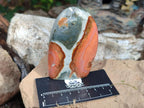 Polished Polychrome Jasper Standing Display Pieces x 6 From NW Coast, Madagascar - Toprock Gemstones and Minerals 