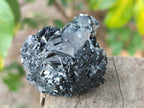 Natural Schorl Black Tourmaline with Associated Minerals x 12 From Erongo, Namibia - Toprock Gemstones and Minerals 
