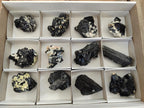 Natural Schorl Black Tourmaline with Associated Minerals x 12 From Erongo, Namibia - Toprock Gemstones and Minerals 