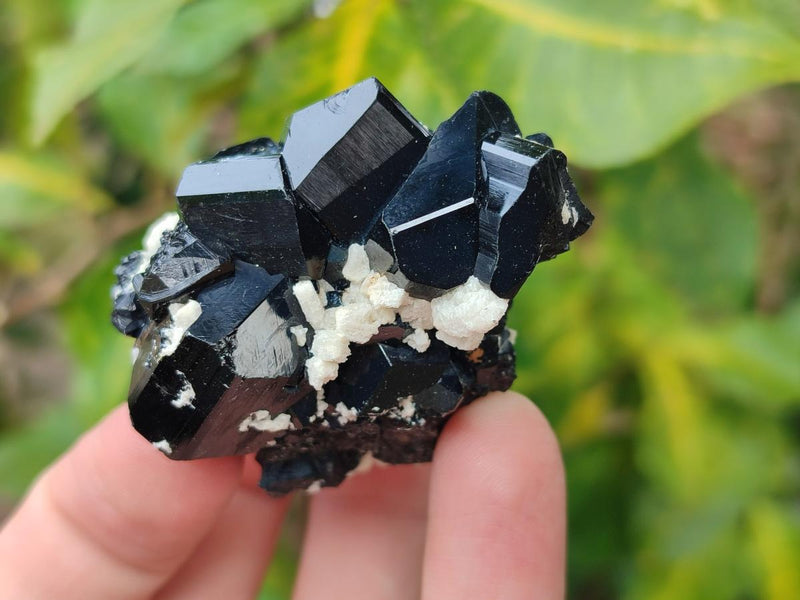 Natural Schorl Black Tourmaline with Associated Minerals x 12 From Erongo, Namibia - Toprock Gemstones and Minerals 