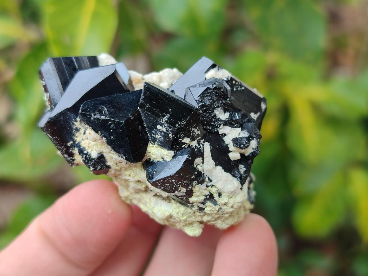 Natural Schorl Black Tourmaline with Associated Minerals x 12 From Erongo, Namibia - Toprock Gemstones and Minerals 