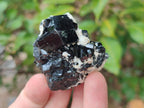 Natural Schorl Black Tourmaline with Associated Minerals x 12 From Erongo, Namibia - Toprock Gemstones and Minerals 