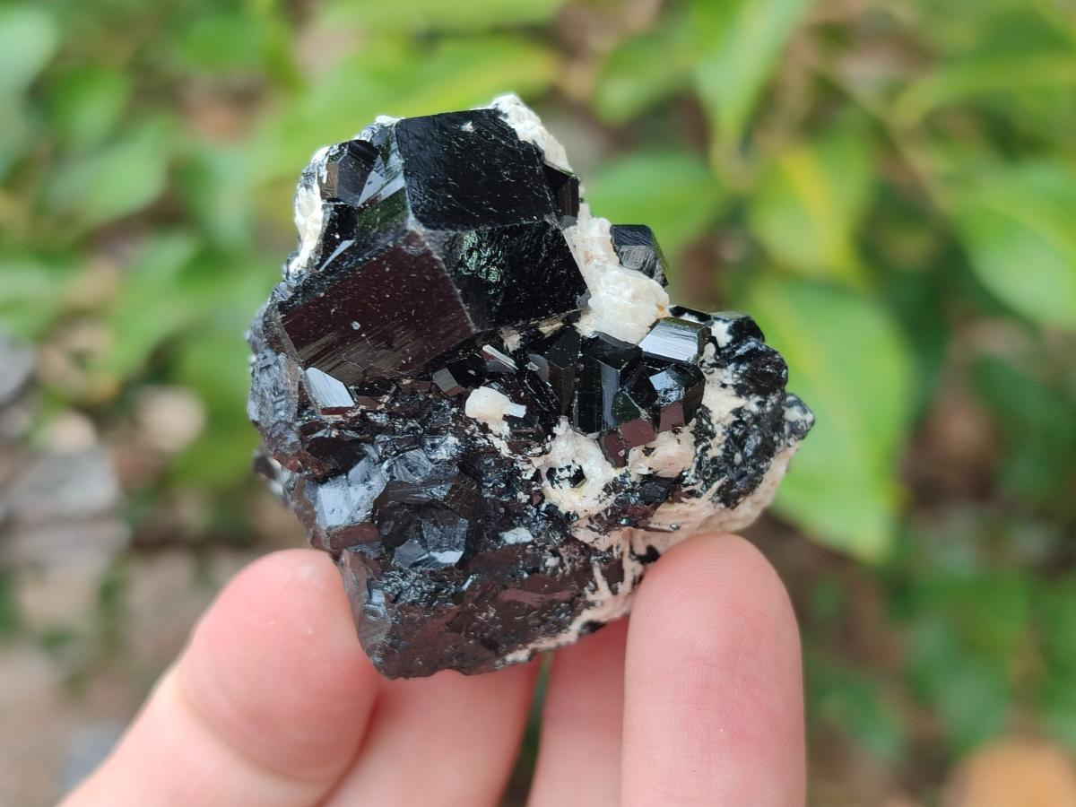 Natural Schorl Black Tourmaline with Associated Minerals x 12 From Erongo, Namibia - Toprock Gemstones and Minerals 