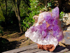 Natural XL Jacaranda Amethyst Cluster x 1 From Mumbwa, Zambia - Toprock Gemstones and Minerals 
