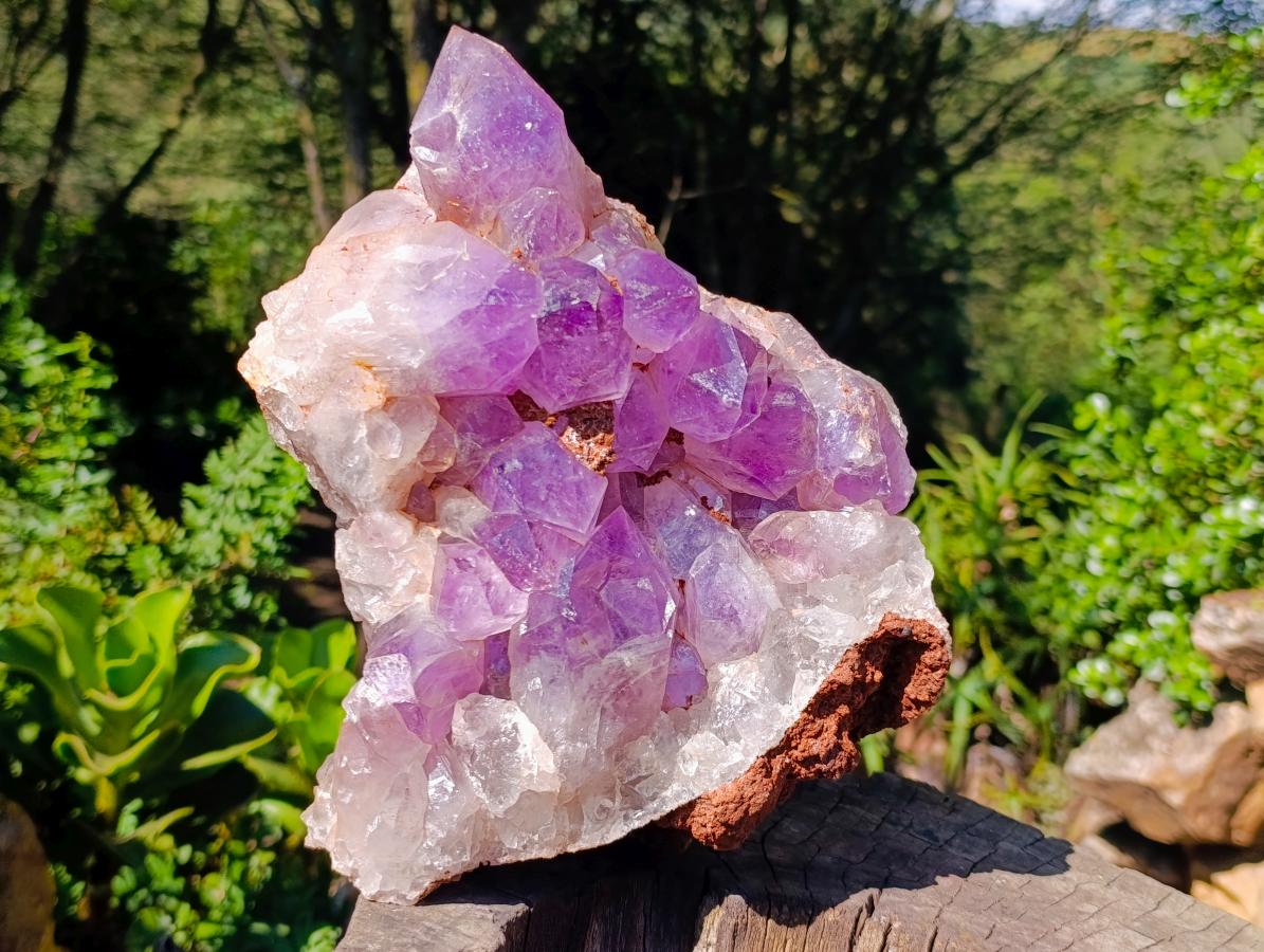 Natural XL Jacaranda Amethyst Cluster x 1 From Mumbwa, Zambia - Toprock Gemstones and Minerals 