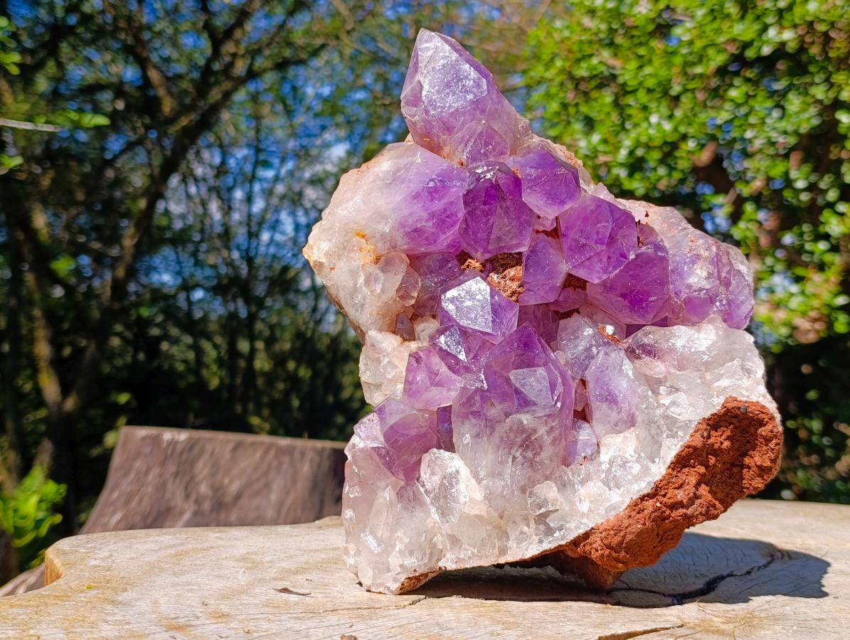 Natural XL Jacaranda Amethyst Cluster x 1 From Mumbwa, Zambia - Toprock Gemstones and Minerals 