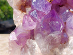 Natural XL Jacaranda Amethyst Cluster x 1 From Mumbwa, Zambia - Toprock Gemstones and Minerals 