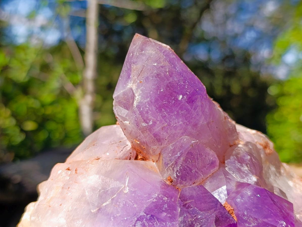 Natural XL Jacaranda Amethyst Cluster x 1 From Mumbwa, Zambia - Toprock Gemstones and Minerals 