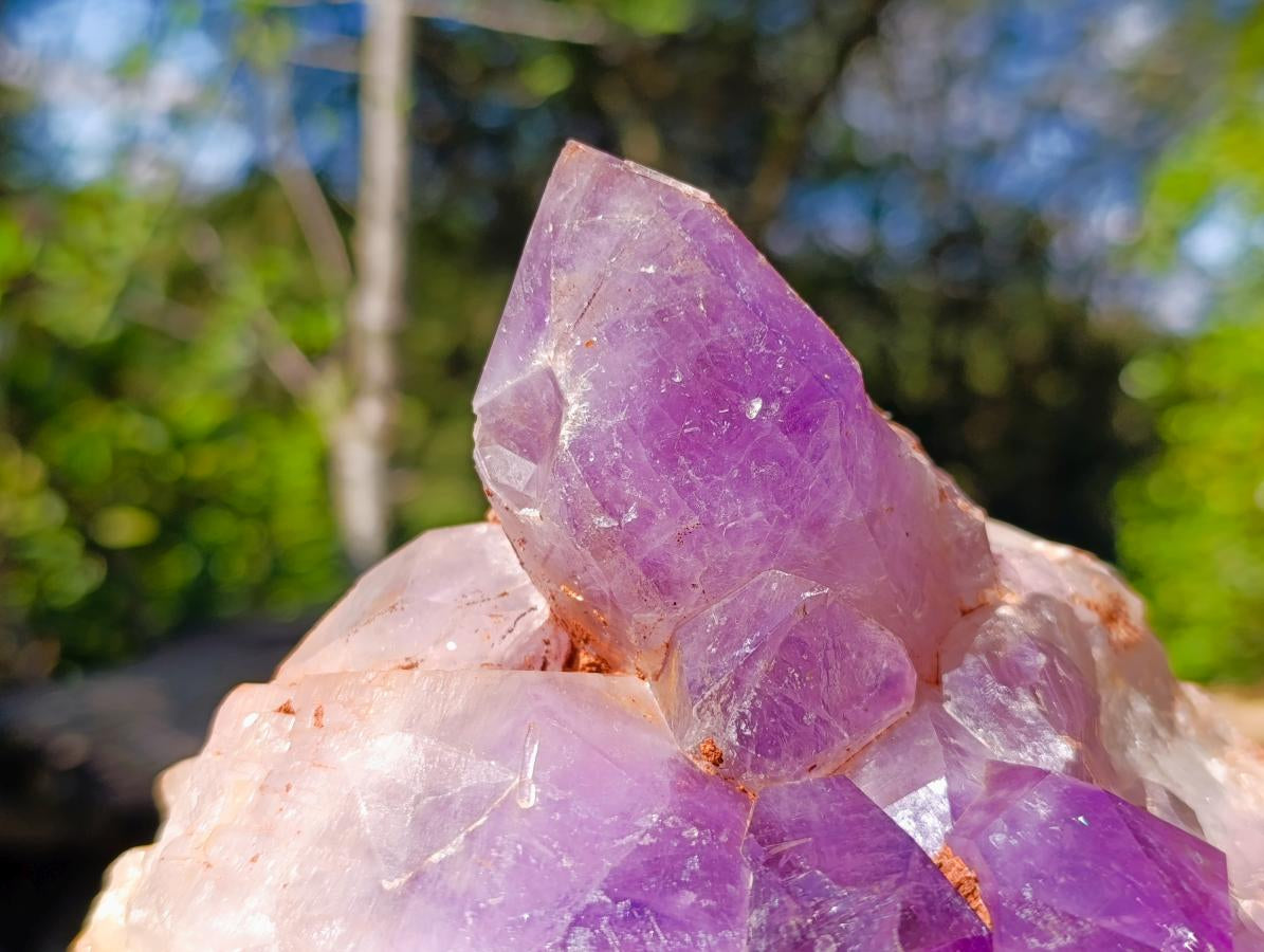 Natural XL Jacaranda Amethyst Cluster x 1 From Mumbwa, Zambia - Toprock Gemstones and Minerals 