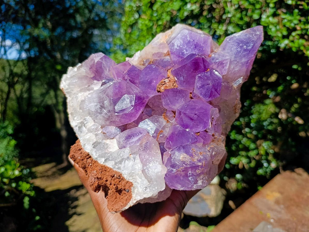 Natural XL Jacaranda Amethyst Cluster x 1 From Mumbwa, Zambia - Toprock Gemstones and Minerals 