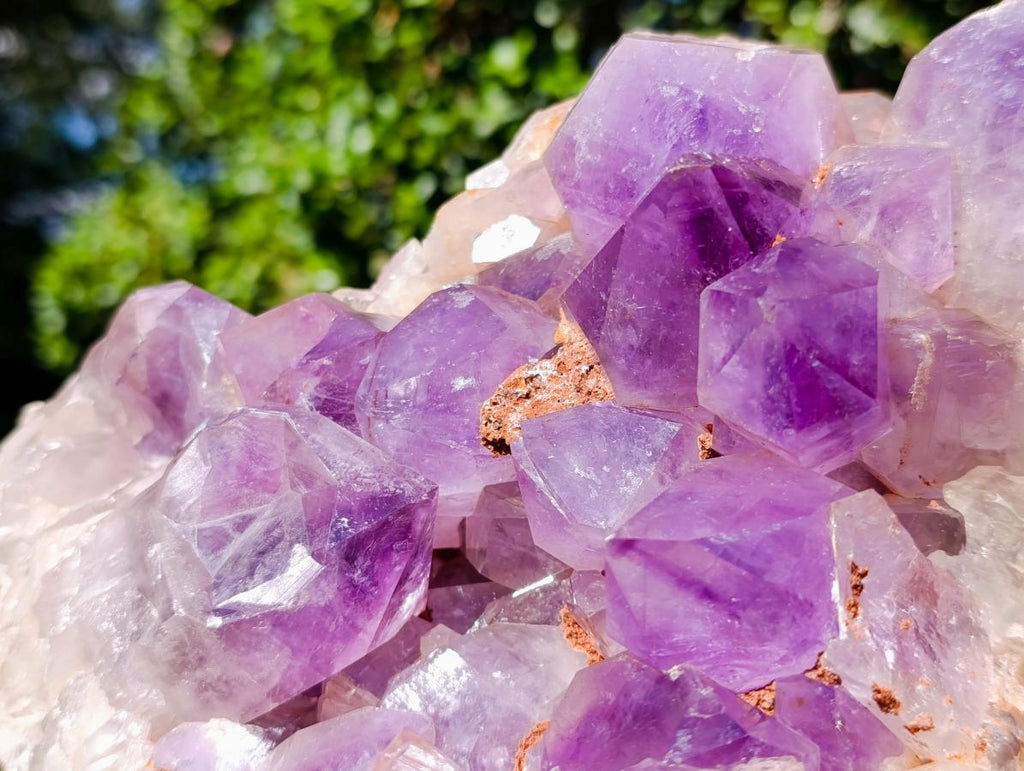 Natural XL Jacaranda Amethyst Cluster x 1 From Mumbwa, Zambia - Toprock Gemstones and Minerals 