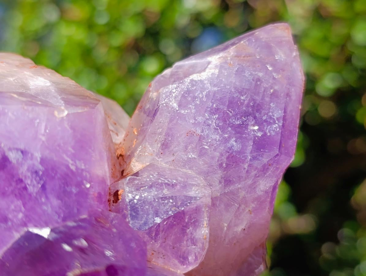 Natural XL Jacaranda Amethyst Cluster x 1 From Mumbwa, Zambia - Toprock Gemstones and Minerals 