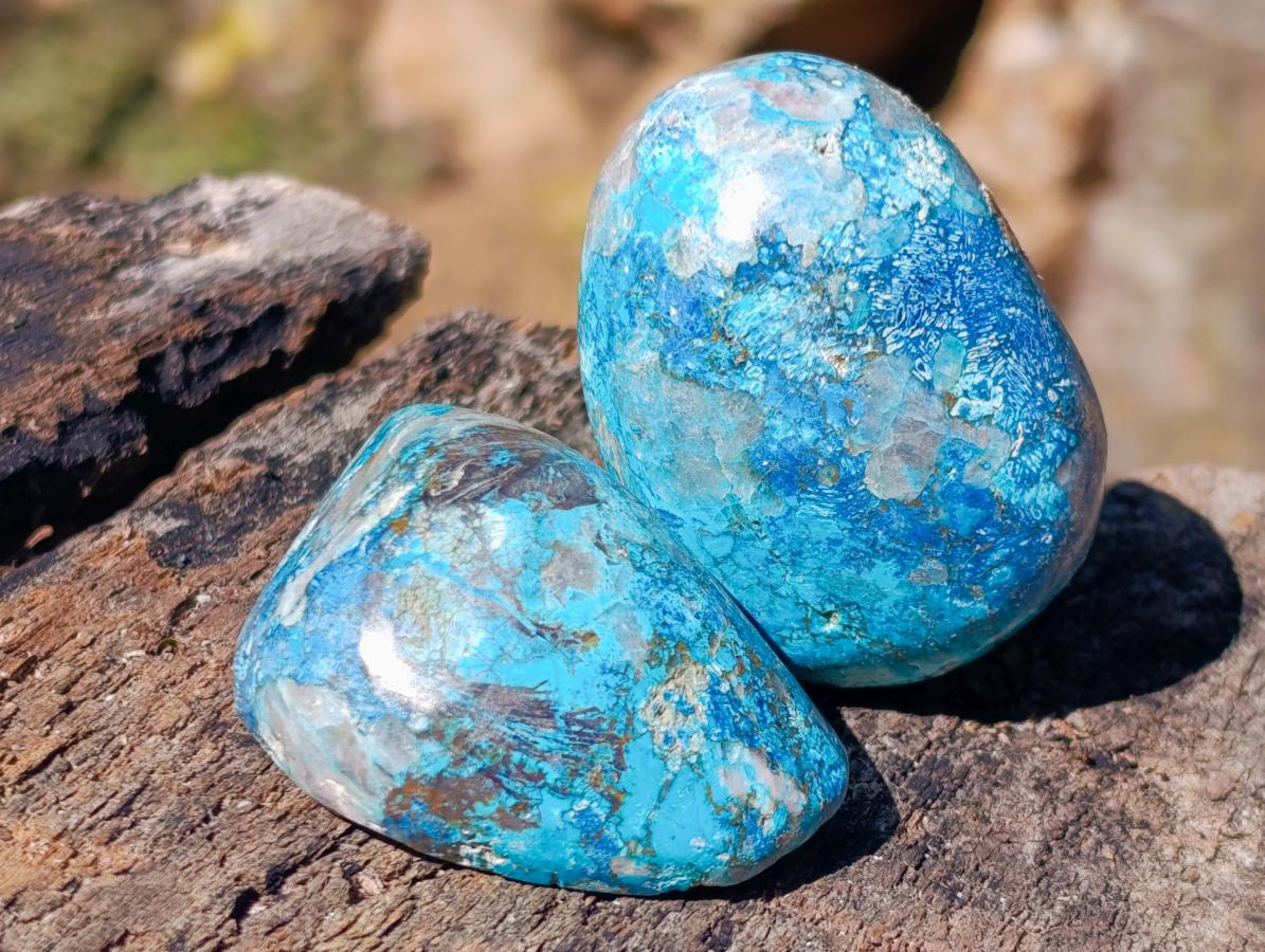 Polished Shattuckite Free Forms x 12 From Kaokoveld, Namibia - Toprock Gemstones and Minerals 