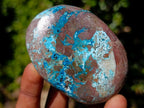Polished Shattuckite Free Forms x 12 From Kaokoveld, Namibia - Toprock Gemstones and Minerals 