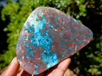 Polished Shattuckite Free Forms x 12 From Kaokoveld, Namibia - Toprock Gemstones and Minerals 