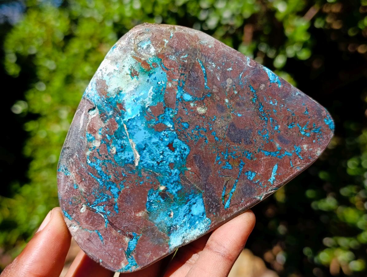Polished Shattuckite Free Forms x 12 From Kaokoveld, Namibia - Toprock Gemstones and Minerals 