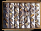 Natural Smokey Spirit Amethyst Crystals and Clusters x 35 From Boekenhouthoek, South Africa - Toprock Gemstones and Minerals 