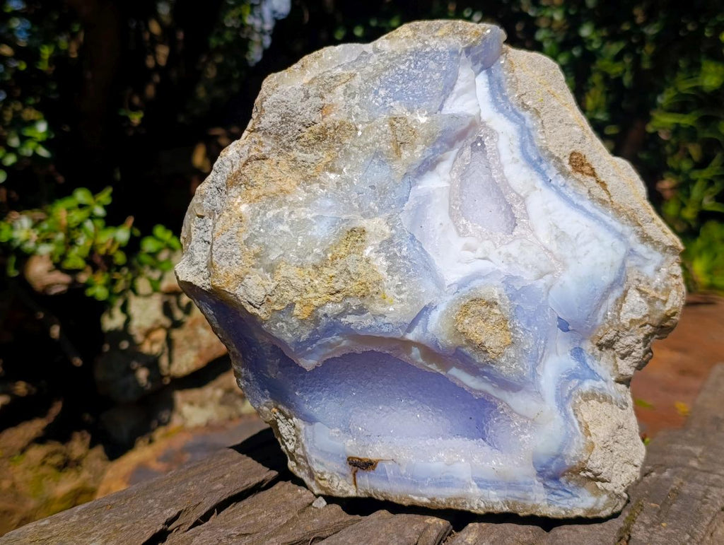 Natural Large Blue Lace Agate Geode Specimen x 1 From Nsanje, Malawi - Toprock Gemstones and Minerals 