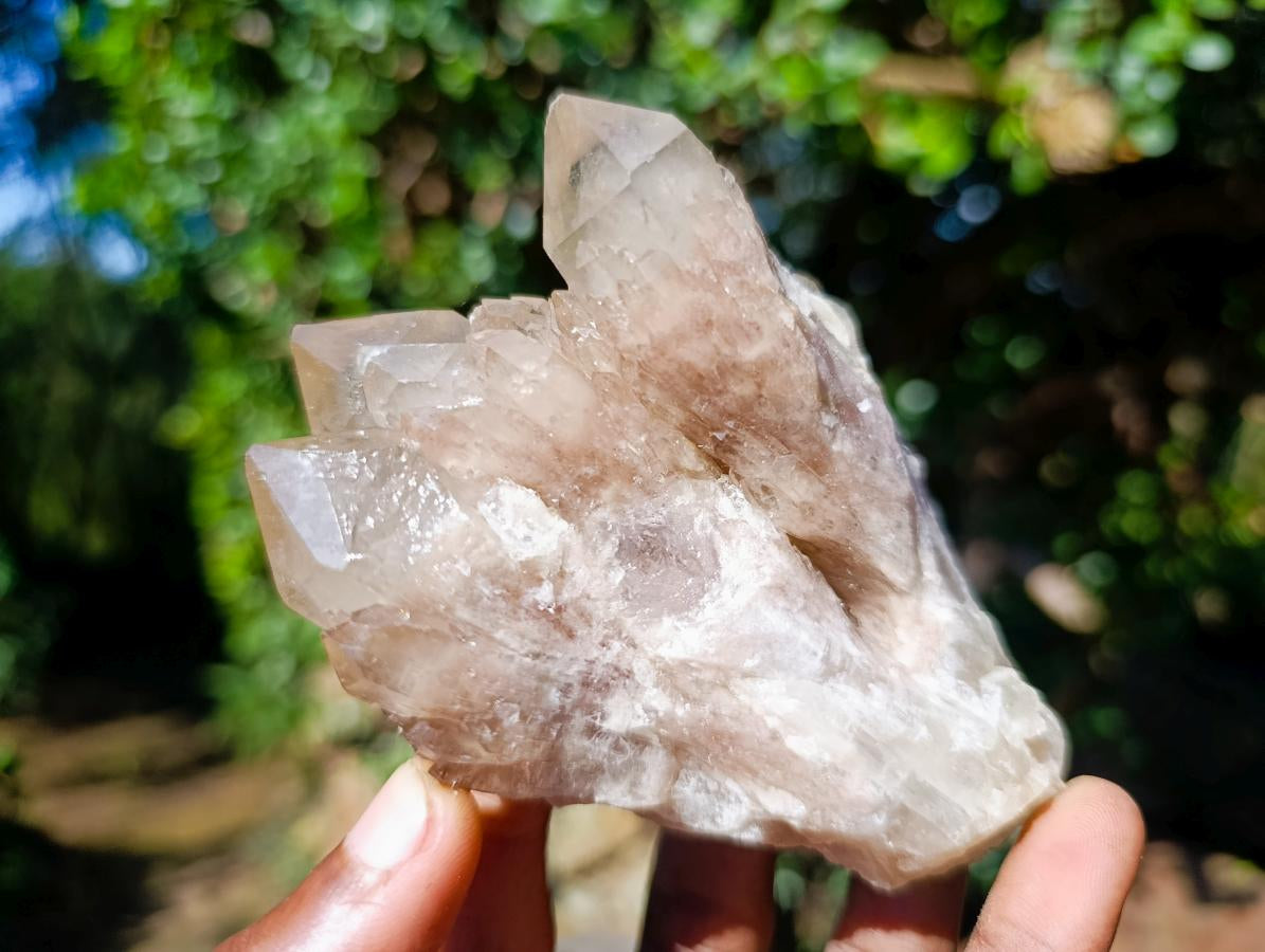 Natural Cascading White Phantom Smokey Luena Quartz Clusters x 6 From Luena, Congo - Toprock Gemstones and Minerals 