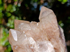 Natural Cascading White Phantom Smokey Luena Quartz Clusters x 6 From Luena, Congo - Toprock Gemstones and Minerals 