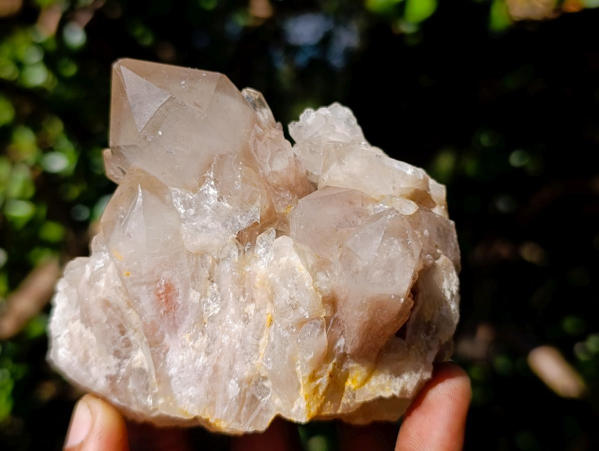 Natural Cascading White Phantom Smokey Luena Quartz Clusters x 6 From Luena, Congo - Toprock Gemstones and Minerals 