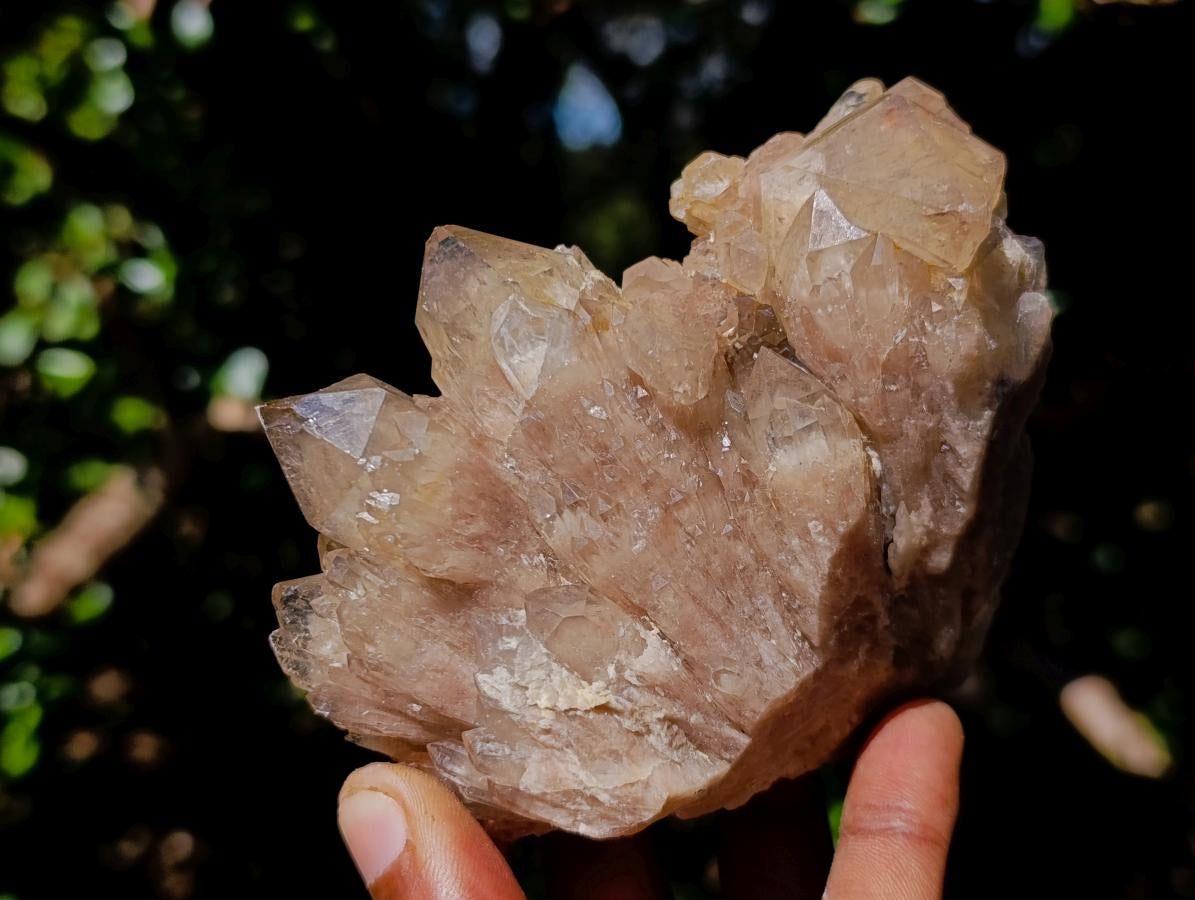 Natural Cascading White Phantom Smokey Luena Quartz Clusters x 6 From Luena, Congo - Toprock Gemstones and Minerals 