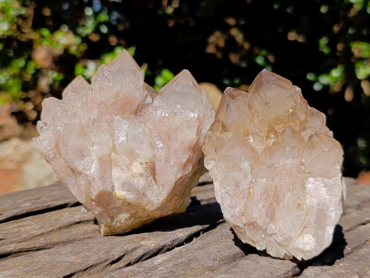 Natural Cascading White Phantom Smokey Luena Quartz Clusters x 6 From Luena, Congo - Toprock Gemstones and Minerals 