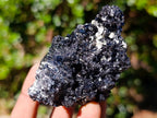 Natural Schorl Black Tourmaline with Muscovite Mica Specimens x 6 From Erongo, Namibia - Toprock Gemstones and Minerals 