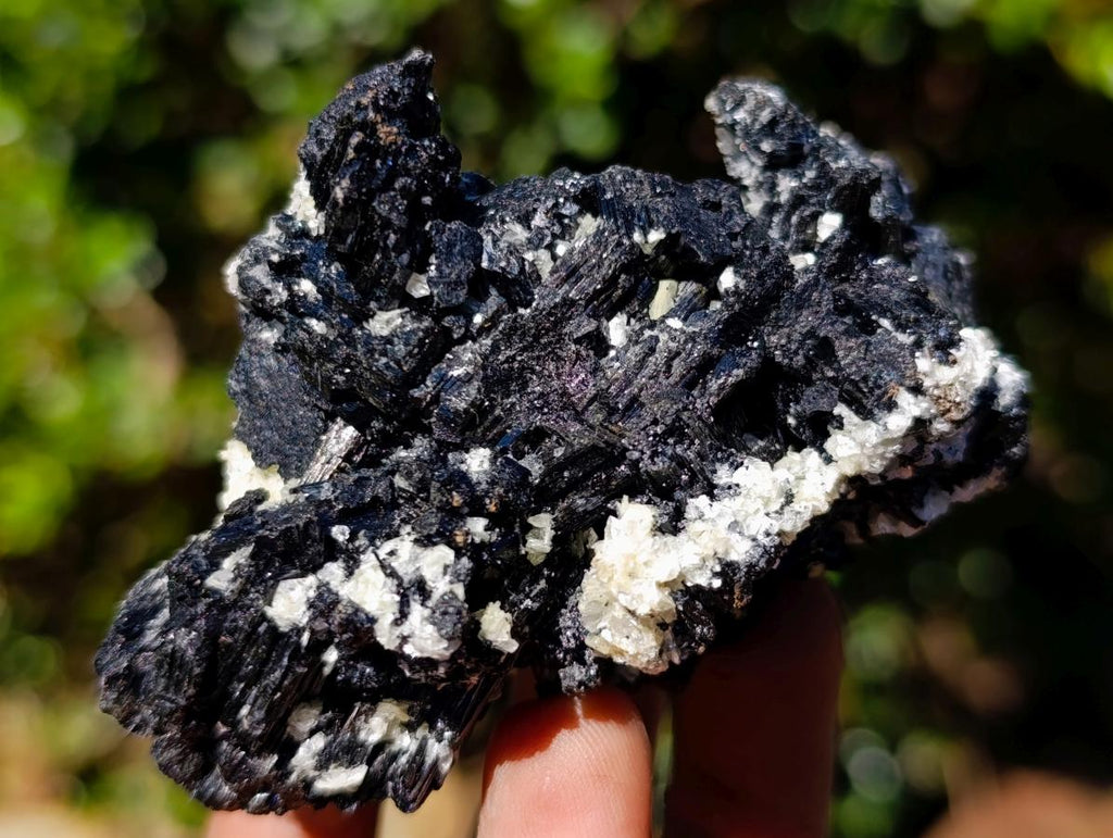 Natural Schorl Black Tourmaline with Muscovite Mica Specimens x 6 From Erongo, Namibia - Toprock Gemstones and Minerals 