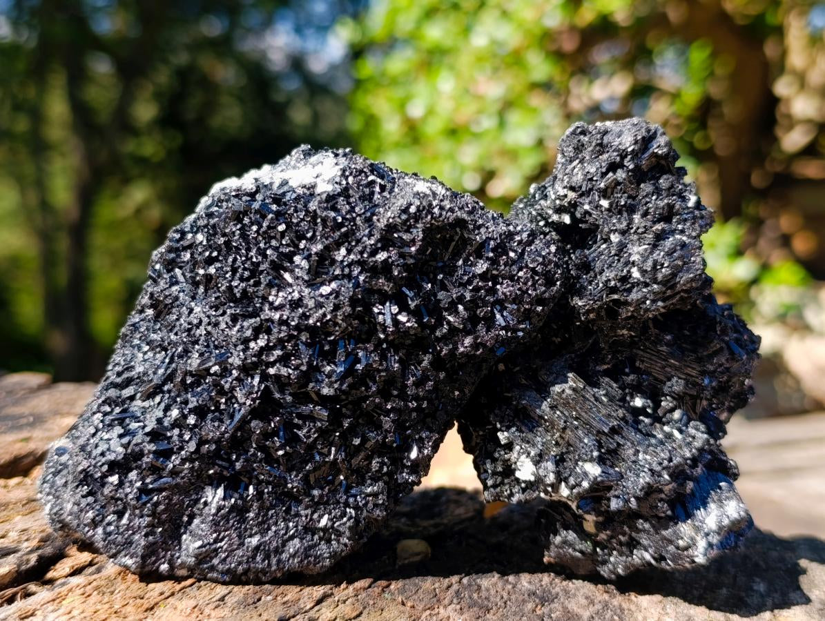 Natural Schorl Black Tourmaline with Muscovite Mica Specimens x 6 From Erongo, Namibia - Toprock Gemstones and Minerals 