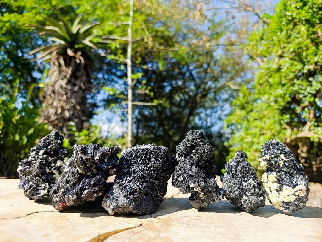 Natural Schorl Black Tourmaline with Muscovite Mica Specimens x 6 From Erongo, Namibia - Toprock Gemstones and Minerals 